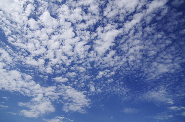 うろこ雲120816.JPG