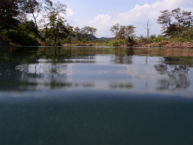 大水後の池110910.JPG